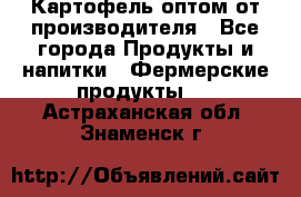 Картофель оптом от производителя - Все города Продукты и напитки » Фермерские продукты   . Астраханская обл.,Знаменск г.